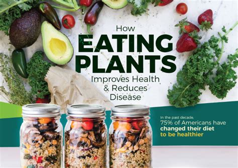 Understanding the Benefits of Plant-Based Diets for Overall Health