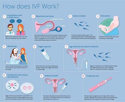 The Complete IVF Process: Emotions, Practical Tips and More
